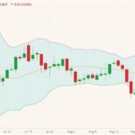 cbot november soybeans