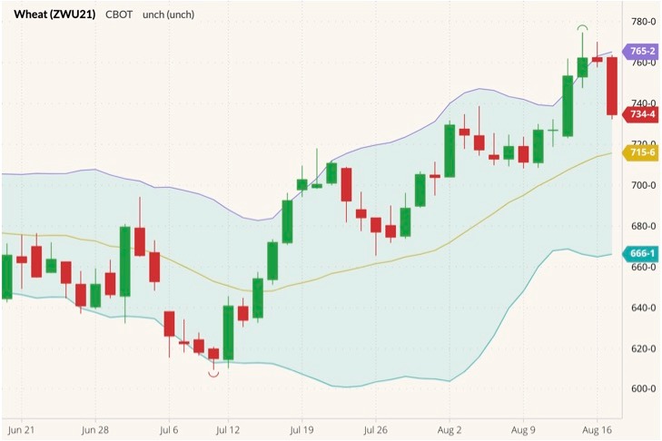 cbot september wheat