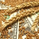 Wheat and money