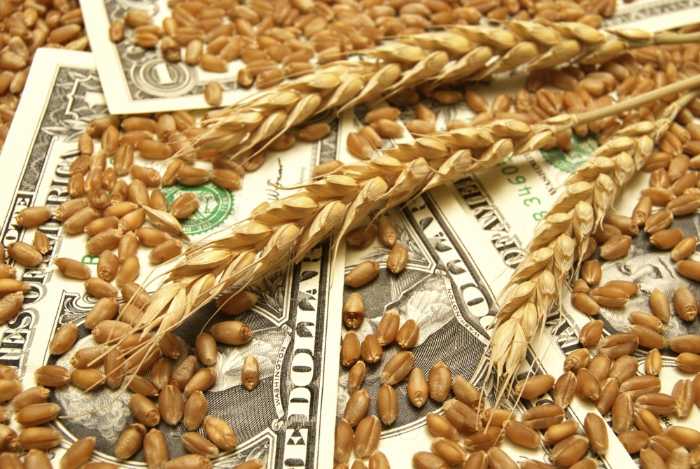Wheat and money