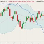 cme october lean hogs