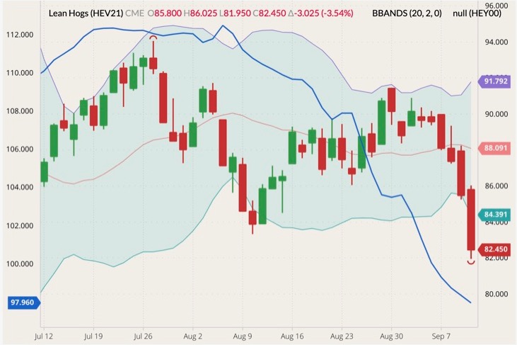 cme october lean hogs