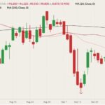 cme october lean hogs