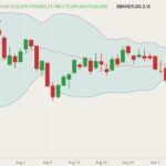 cme december lean hogs