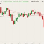 cme december lean hogs