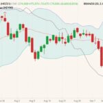 cme december lean hogs