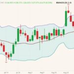 cme october live cattle