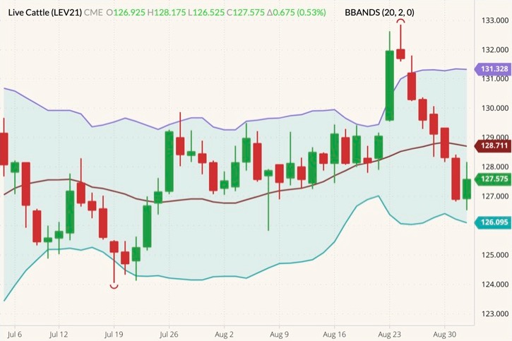 cme october live cattle