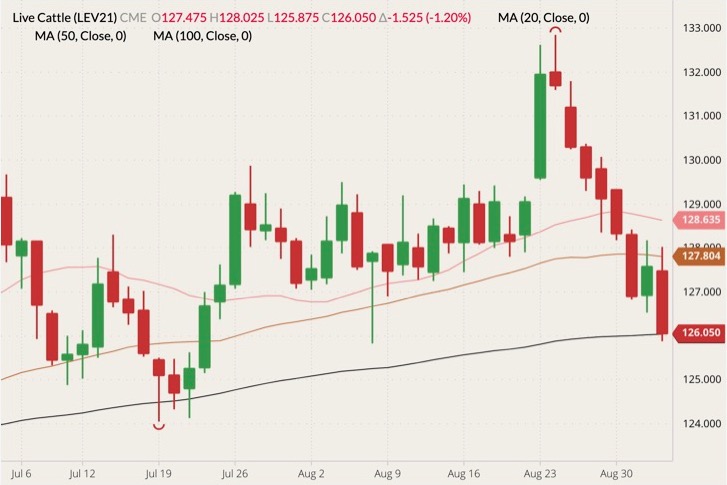 cme october live cattle