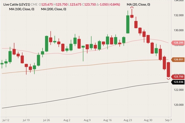 cme october live cattle