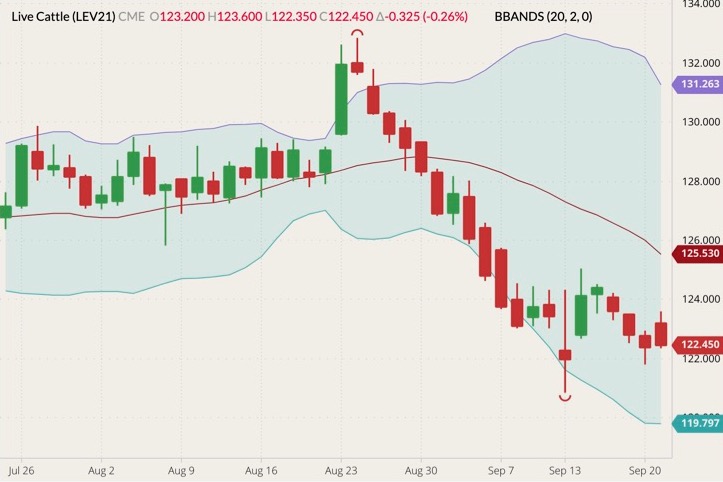 cme october live cattle