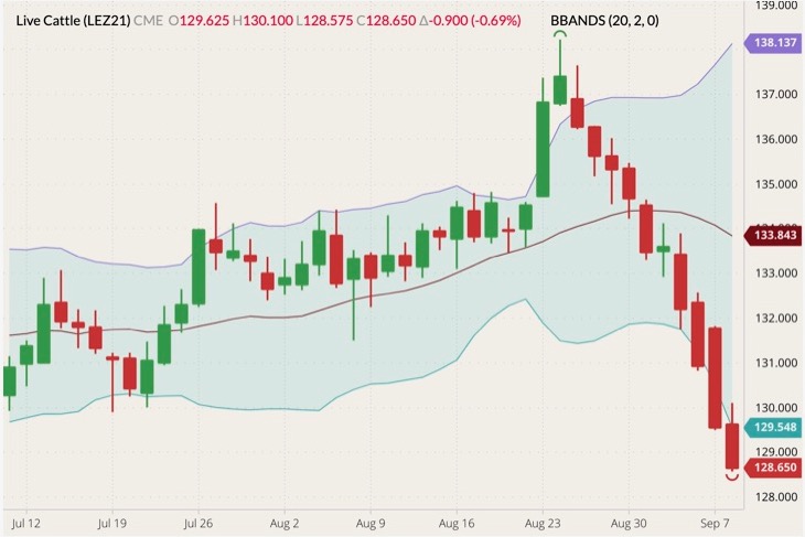 cme december live cattle