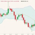 cbot december corn