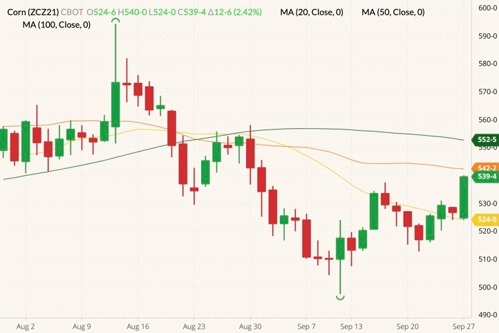 cbot december corn