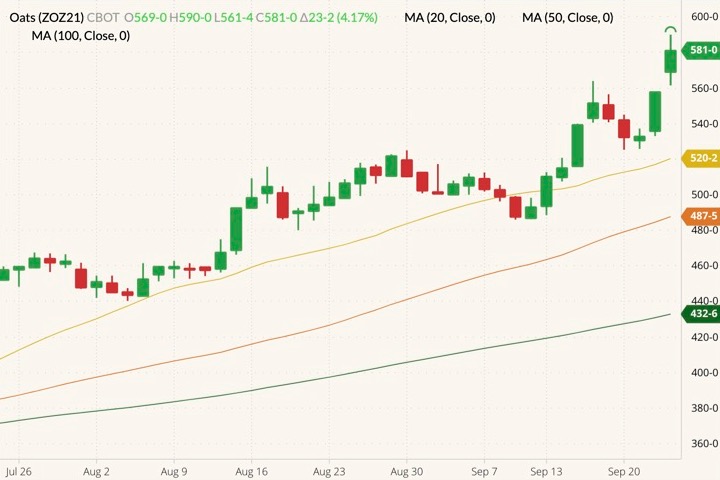 cbot december oats