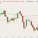 cbot november soybeans