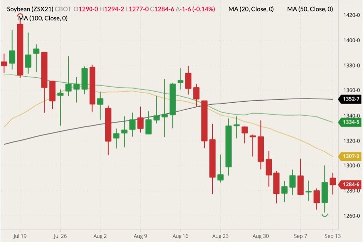 cbot november soybeans