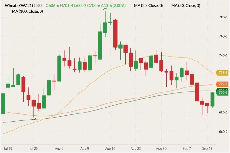 cbot december wheat