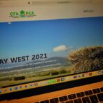 hay west 2021