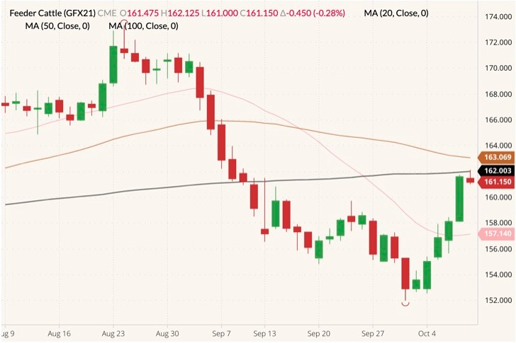 cme november feeder cattle