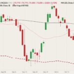 cme december lean hogs