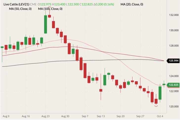 cme october live cattle