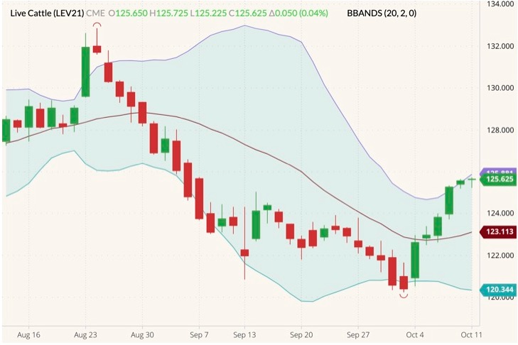 cme october live cattle