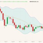 cbot november soybeans