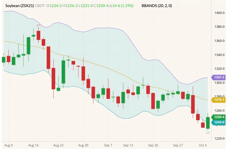 cbot november soybeans