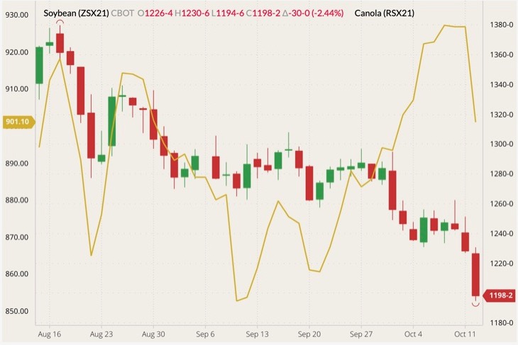 cbot november soybeans
