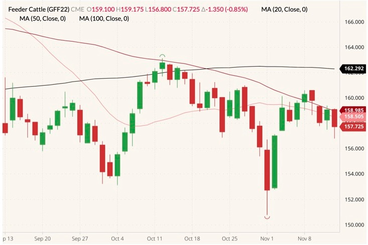 cme january feeder cattle