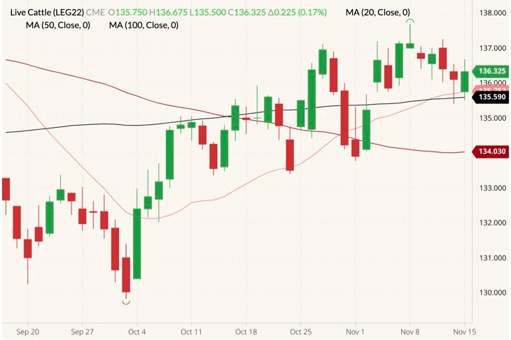 cme february live cattle