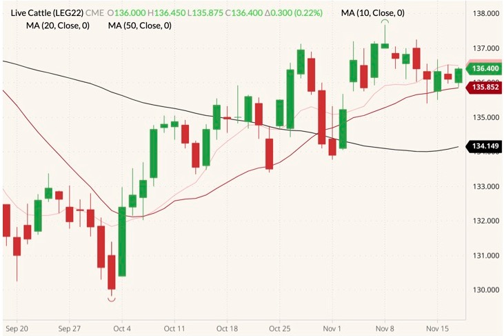 cme february live cattle