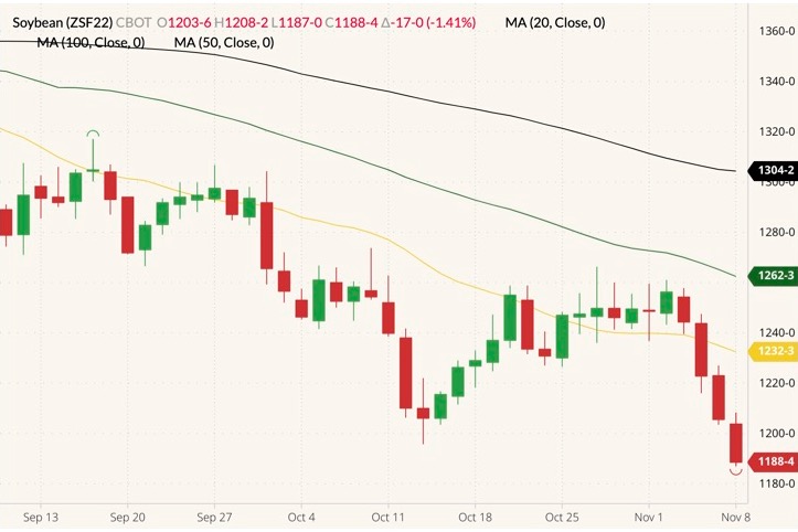 cbot january soybeans