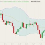 cbot january soybeans