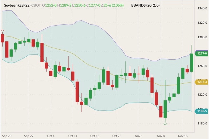 cbot january soybeans