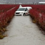abbotsford flood nov 30