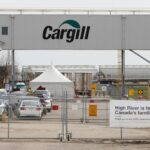 cargill high river 2020