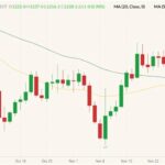 cbot january soybeans