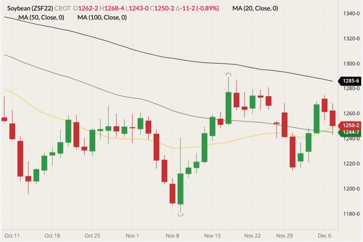 cbot january soybeans