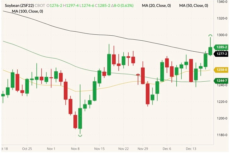 cbot january soybeans