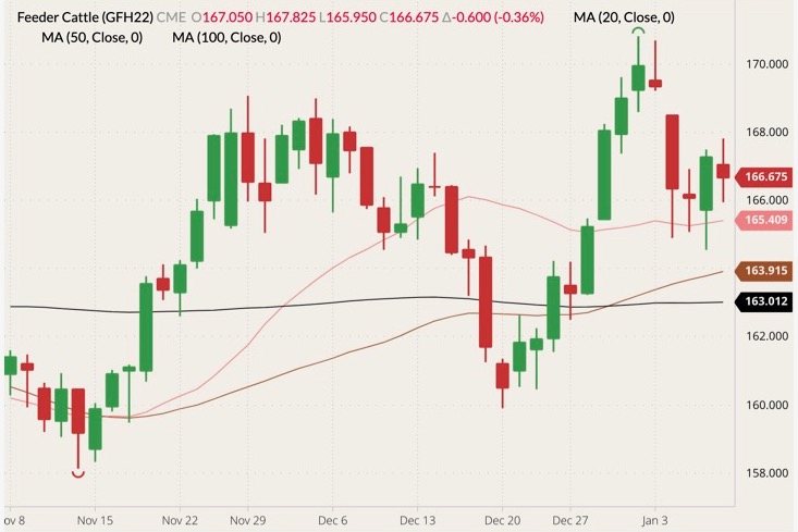 cme march feeder cattle