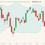 cme february lean hogs