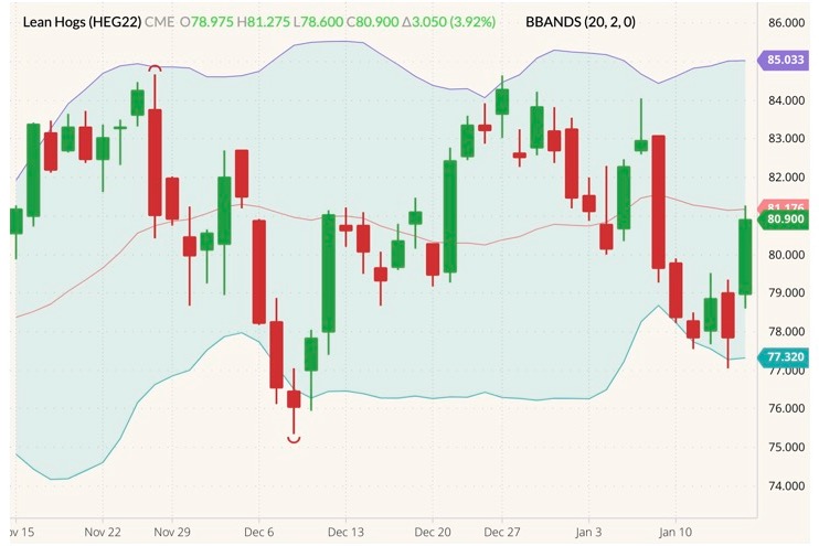 cme february lean hogs