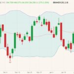 cme february lean hogs