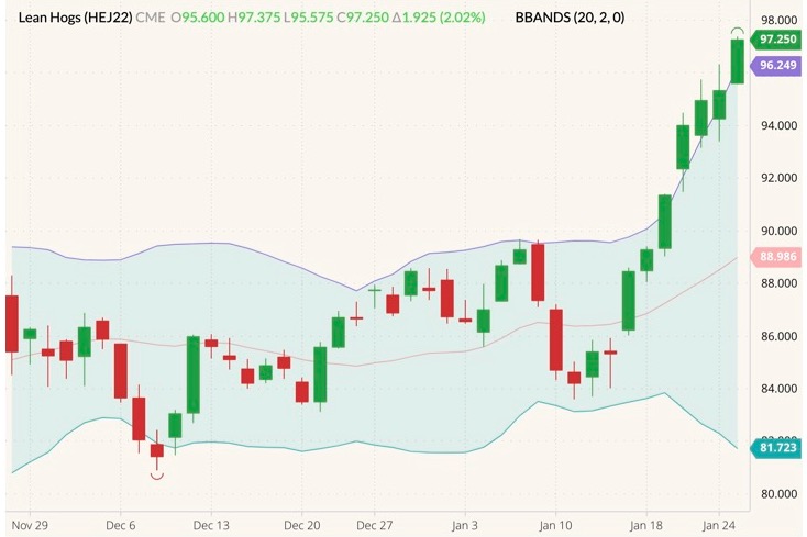 cme april lean hogs
