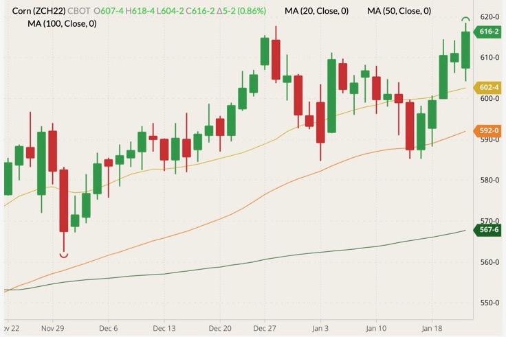 cbot march corn