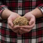 feed finisher mixed ration