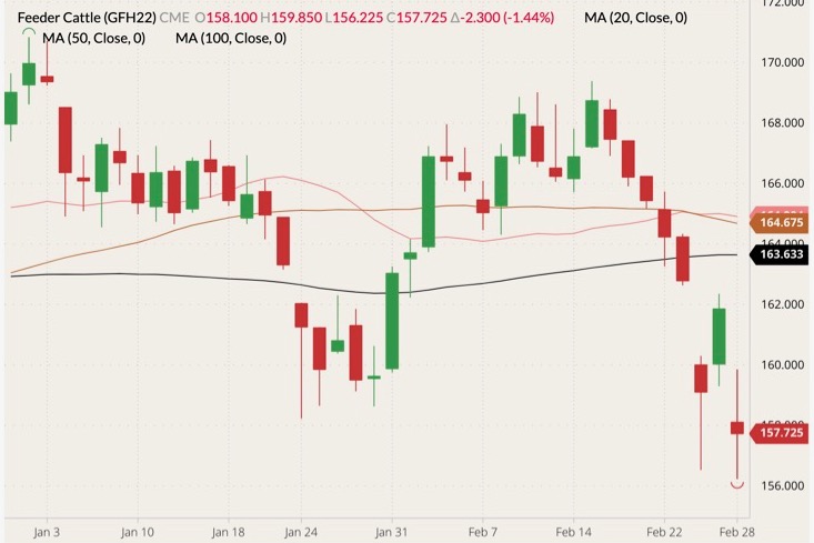 cme march feeder cattle