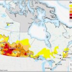 drought monitor